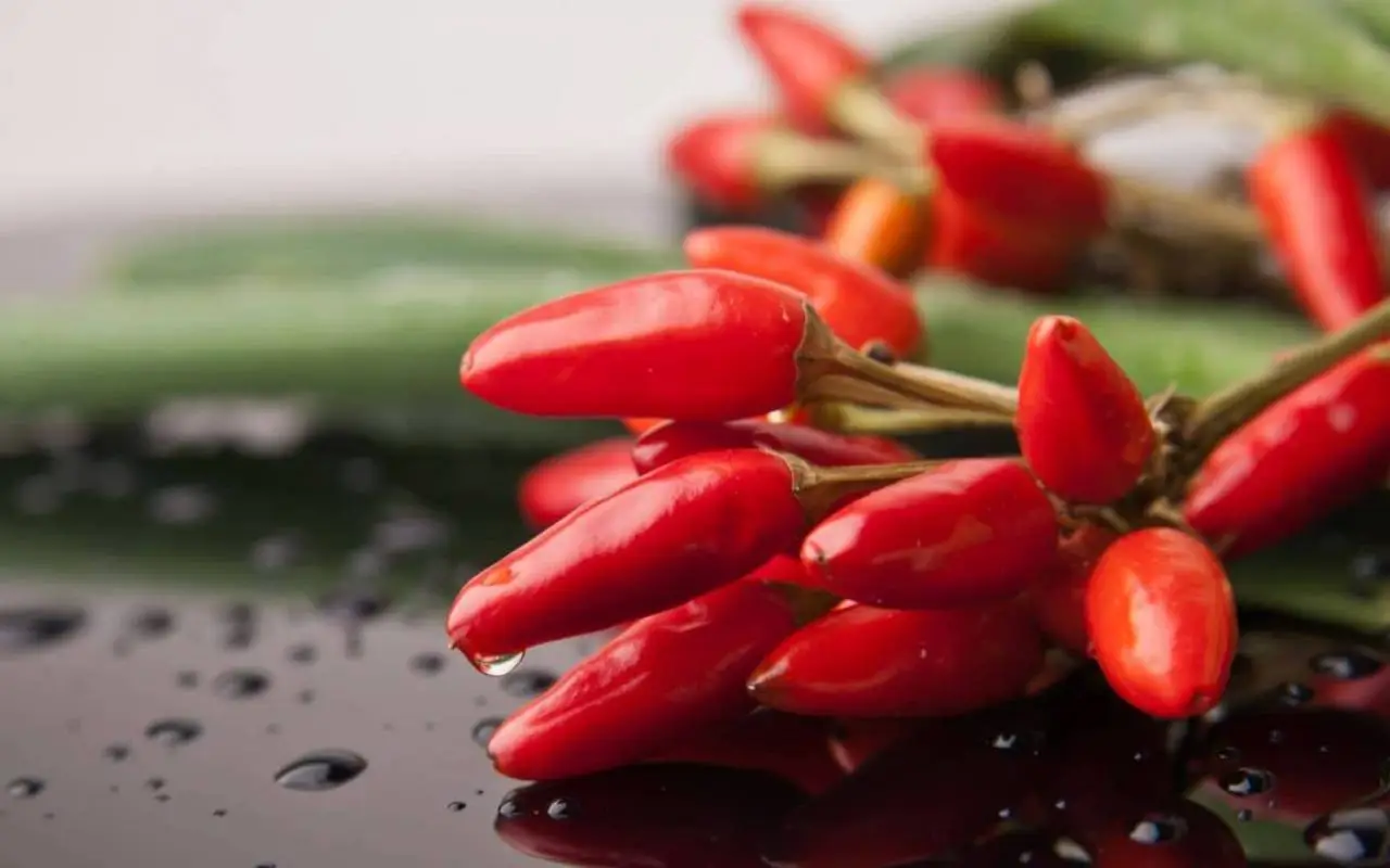 Peperoncini super piccanti: l’errore che non devi fare a giugno Peperoncini super piccanti: l’errore che non devi fare a giugno