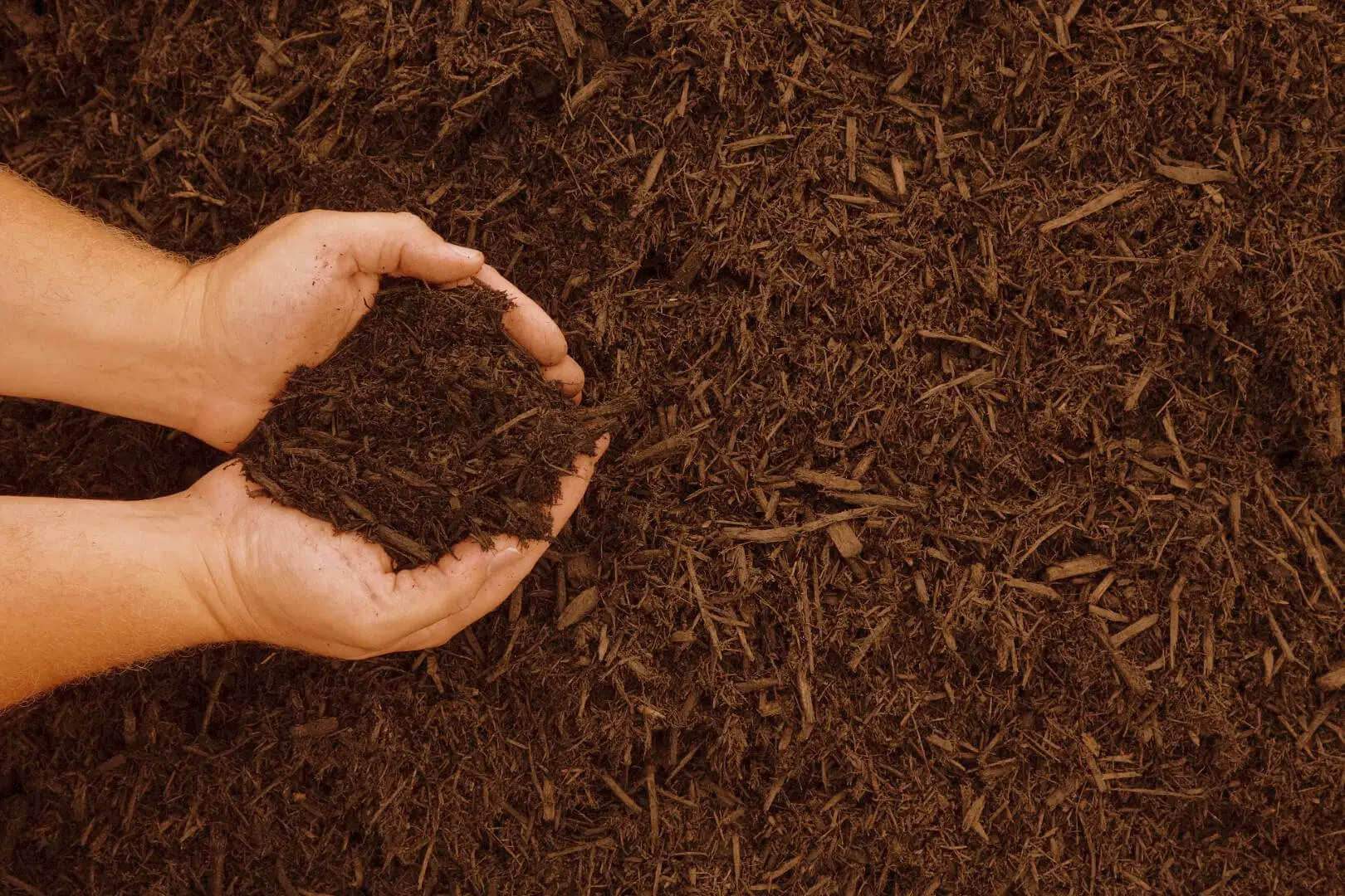 Giardino senza erbacce: la pacciamatura con materiali riciclati Giardino senza erbacce: la pacciamatura con materiali riciclati
