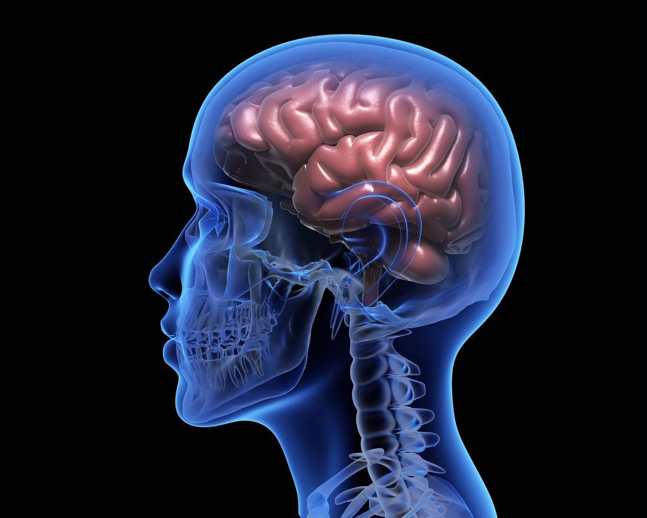 Scopri quali bevande supportano la salute cerebrale anche in età avanzata Scopri quali bevande supportano la salute cerebrale anche in età avanzata