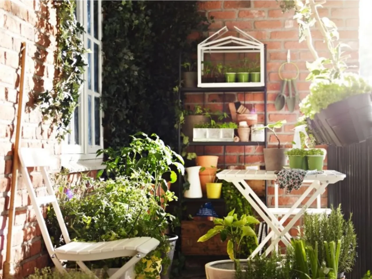 Piante resistenti al caldo: ecco come creare un angolo verde nei mesi estivi