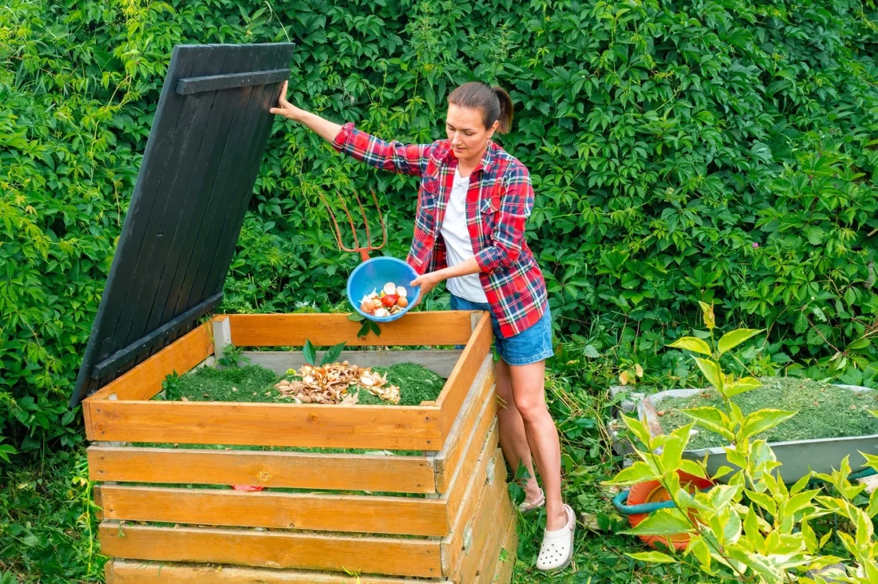 Preparare un fertilizzante naturale con scarti di cucina: risultati sorprendenti Preparare un fertilizzante naturale con scarti di cucina: risultati sorprendenti
