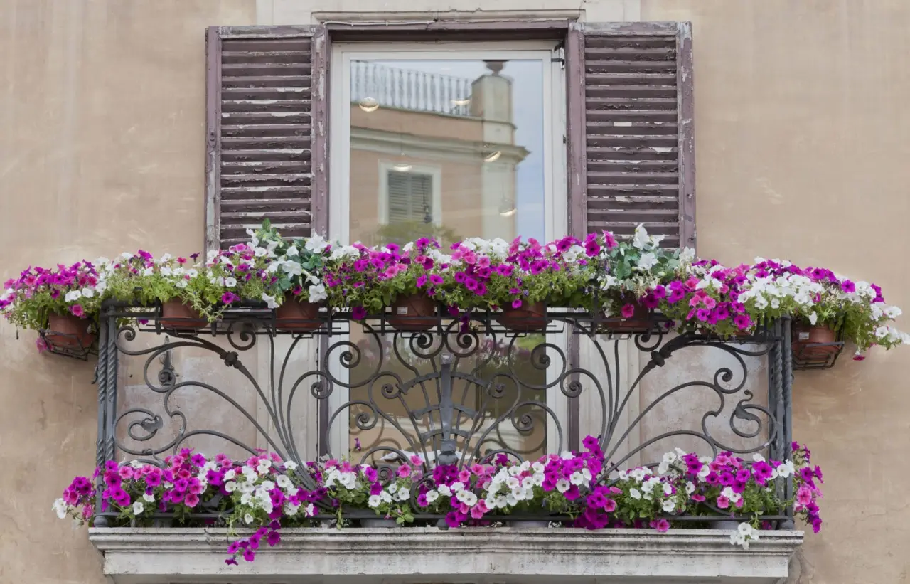 Lavanda in balcone che non secca mai: il trucco del drenaggio invisibile Lavanda in balcone che non secca mai: il trucco del drenaggio invisibile