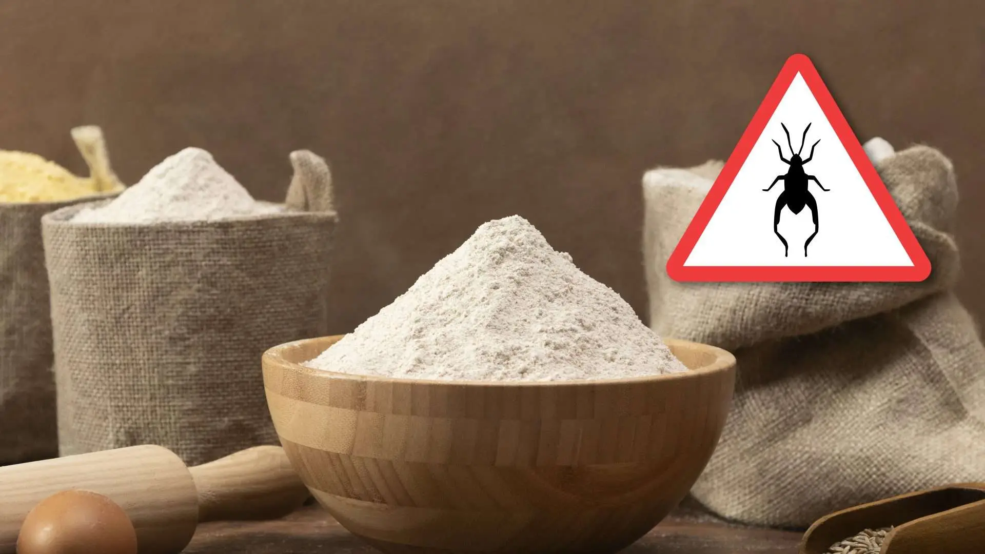 Avena a colazione: ecco quando fa male e perché evitarla in certi casi Avena a colazione: ecco quando fa male e perché evitarla in certi casi