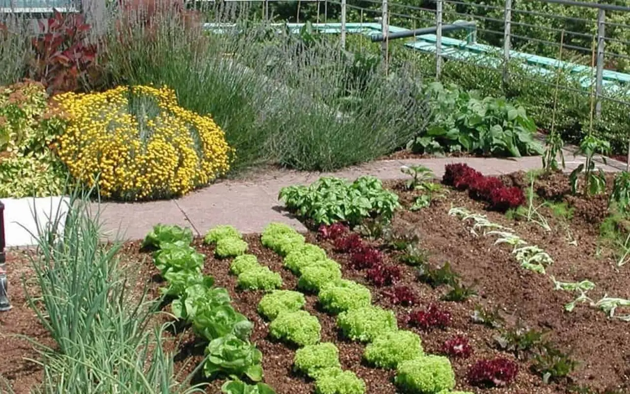 Giardino senza erbacce: la pacciamatura con materiali riciclati Giardino senza erbacce: la pacciamatura con materiali riciclati