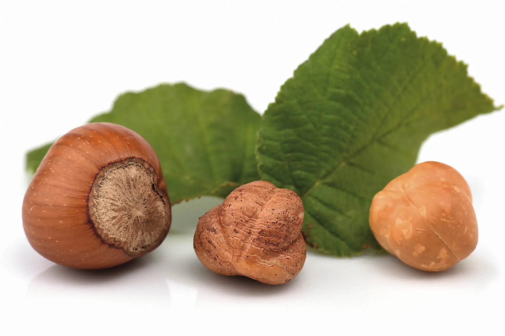 Come togliere i graffi dal legno con una nocciola Come togliere i graffi dal legno con una nocciola