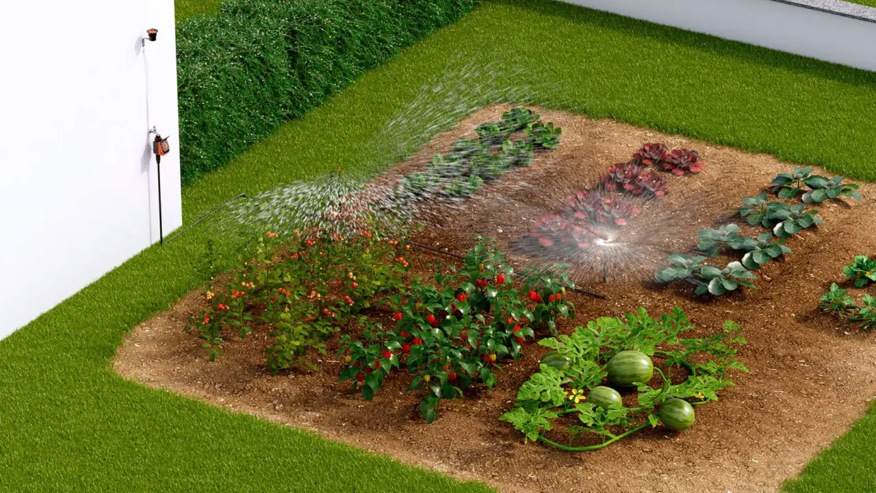 Semina intelligente: come risparmiare acqua con il metodo del “buchino” Semina intelligente: come risparmiare acqua con il metodo del “buchino”