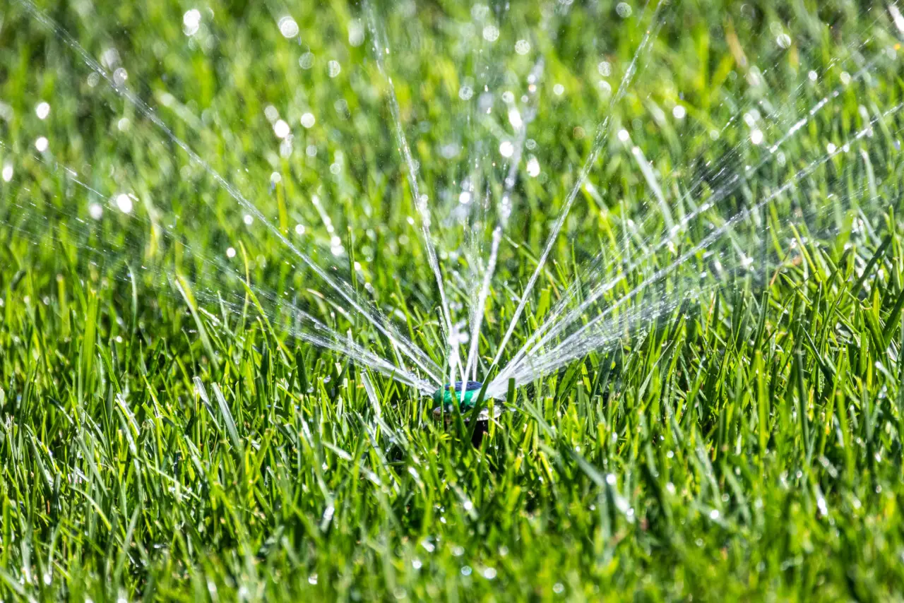 Semina intelligente: come risparmiare acqua con il metodo del “buchino” Semina intelligente: come risparmiare acqua con il metodo del “buchino”