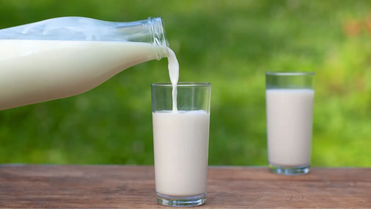 Attenzione al latte scremato: può contenere più lattosio del normale Attenzione al latte scremato: può contenere più lattosio del normale