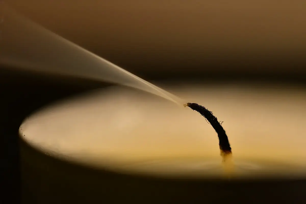 Il trucco della candela per tenere lontano la mosca della frutta Il trucco della candela per tenere lontano la mosca della frutta