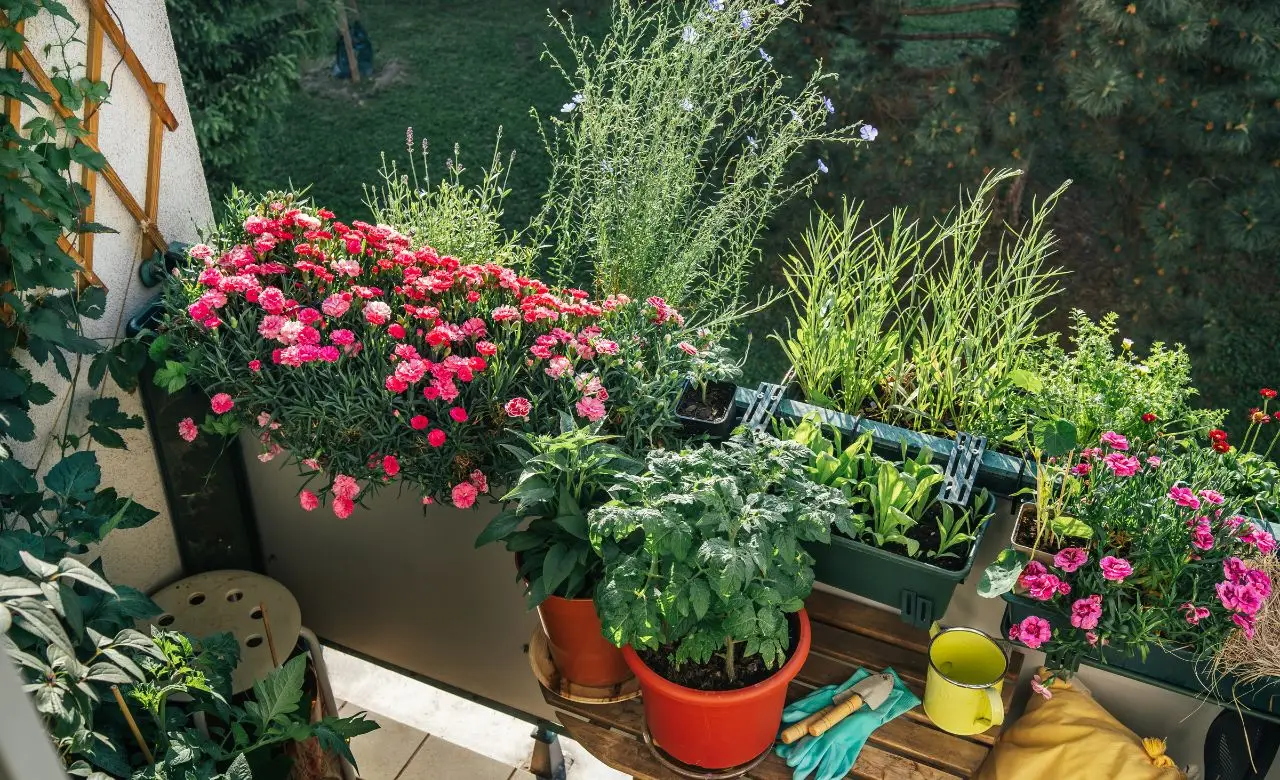 Trasforma il balcone in un habitat per le api con questa selezione di piante facili Trasforma il balcone in un habitat per le api con questa selezione di piante facili