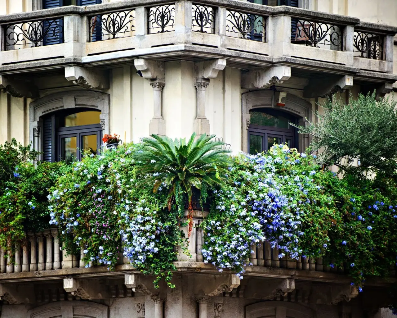Trasforma il balcone in un habitat per le api con questa selezione di piante facili Trasforma il balcone in un habitat per le api con questa selezione di piante facili