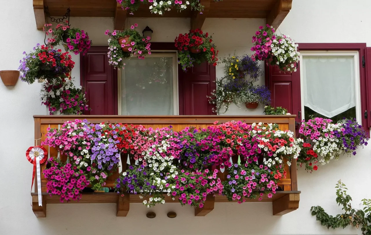 Trasforma il balcone in un habitat per le api con questa selezione di piante facili Trasforma il balcone in un habitat per le api con questa selezione di piante facili